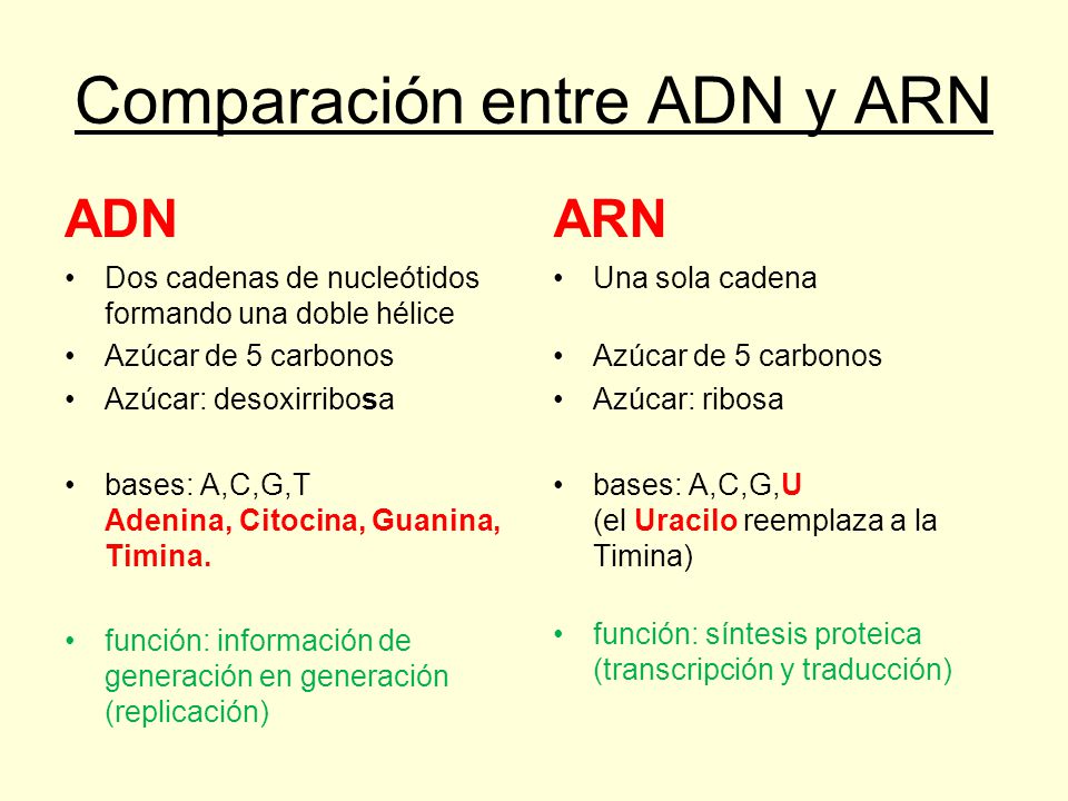 Diferencia entre senador y diputado